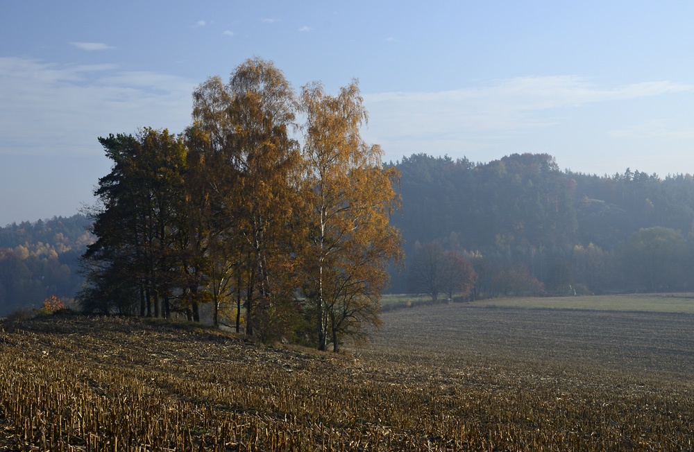 Under the "Butter Hill" - larger format