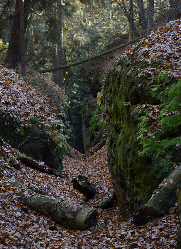 In the gorge - larger format