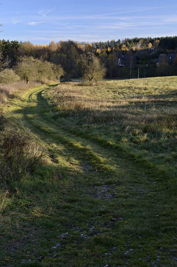 On the path - larger format