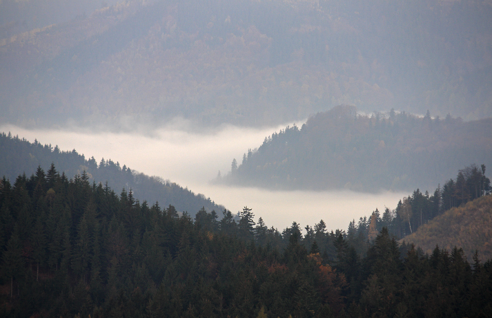 Fog in the valley - larger format