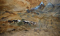 Mustangov pod horami - hlavn odkaz