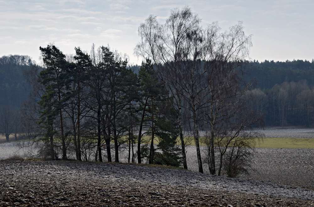 Under the "Butter Hill" - larger format