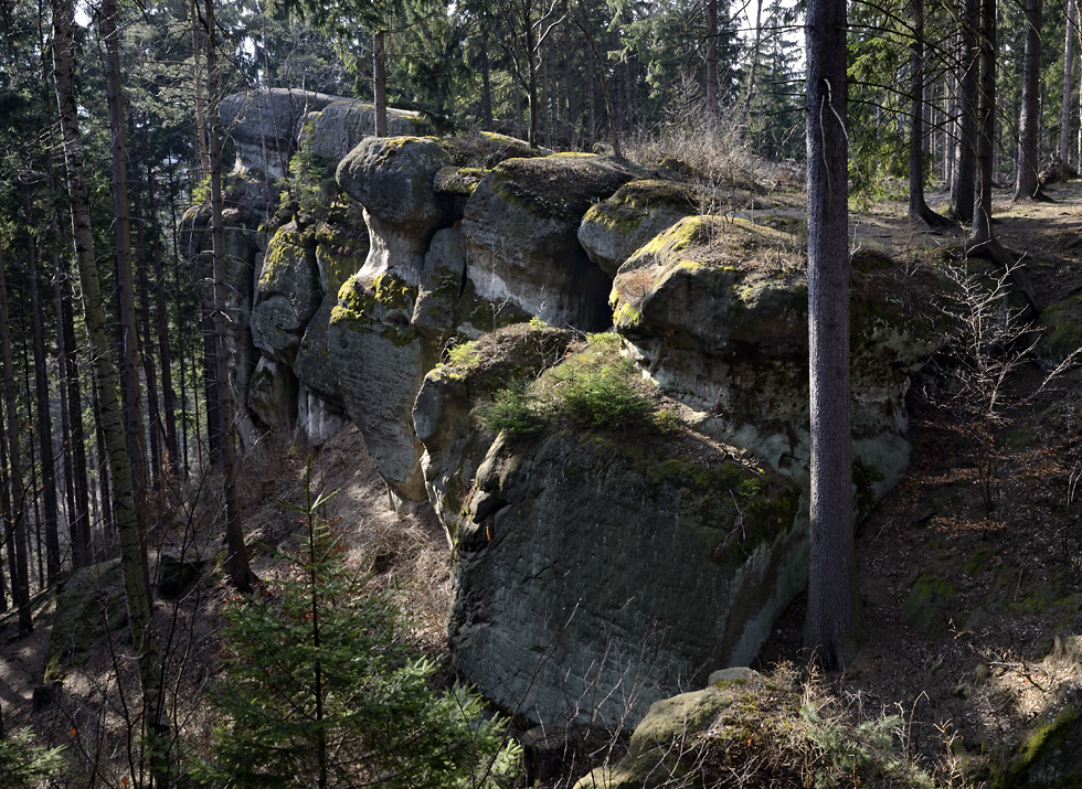 Goeovsk skalky - vt formt