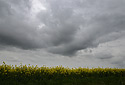 Clouds - main link