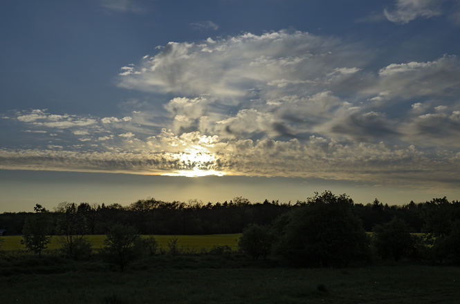Near "Cholupice" - smaller format