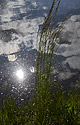 Reflection - main link