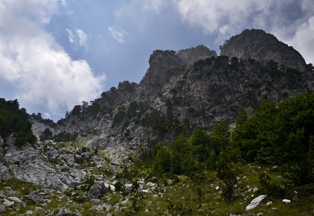 Na hranici lesa - vt formt