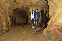Ve tole - hlavn odkaz
