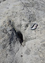 Fulgurite on the "Watchman" pillar - main link