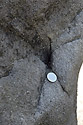 Fulgurite on the "Watchman" pillar - main link