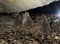 Koenov stalagmity - hlavn odkaz