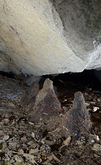 Koenov stalagmity - men formt