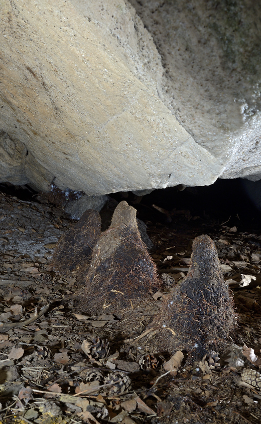 Koenov stalagmity - vt formt