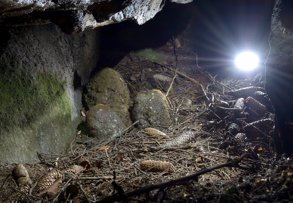 Koenov stalagmity - vt formt