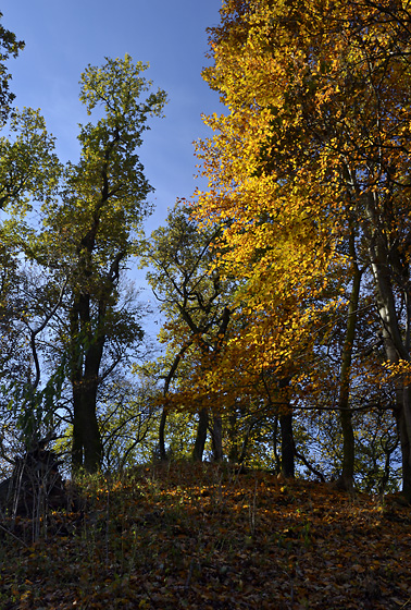 "Straus Hill" - smaller format
