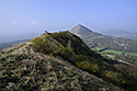 View back - main link
