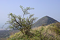 View to "Oblk" - main link
