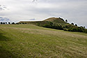 "Cat Hill" - main link