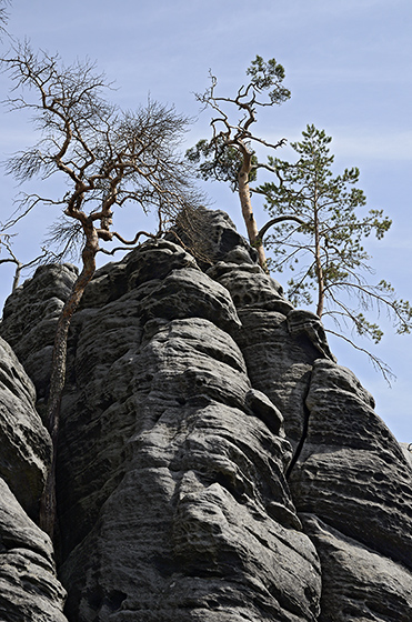 Ve skalch - men formt