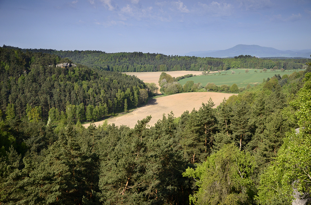 Vista from "Vlhošť" - larger format