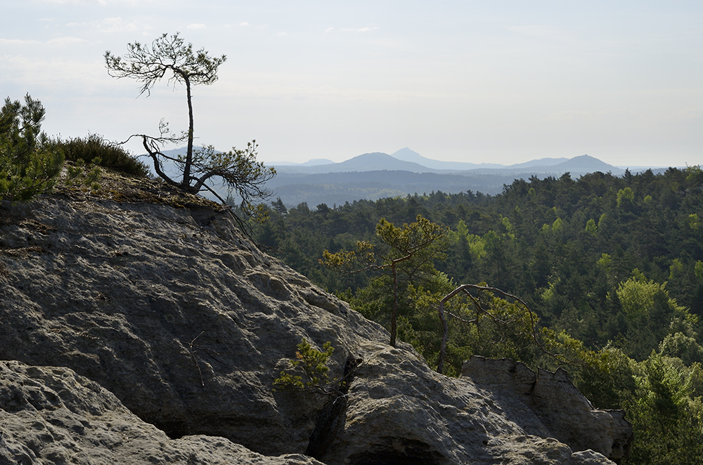 Vista from "Vlho" - larger format