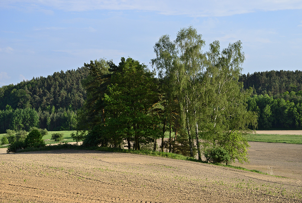 Under the "Butter Hill" - larger format