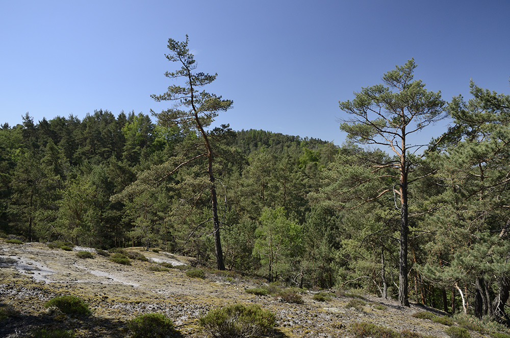 Na skle - vt formt