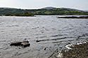 Lough Corrib - hlavn odkaz