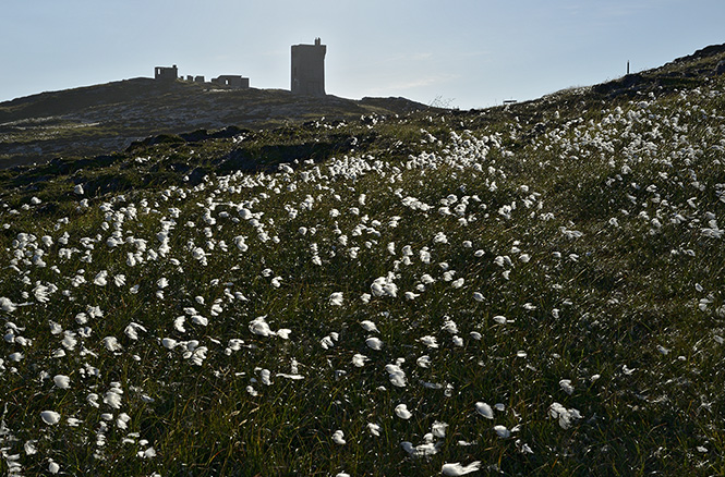 Malin Head - men formt