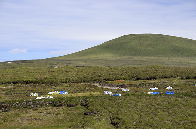 Achill Isl. - men formt