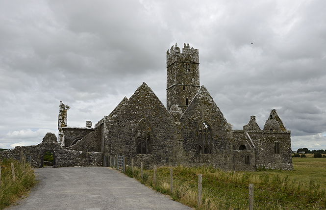 Ross Errilly Friary - men formt