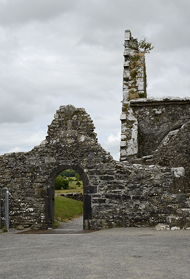 Ross Errilly Friary - men formt