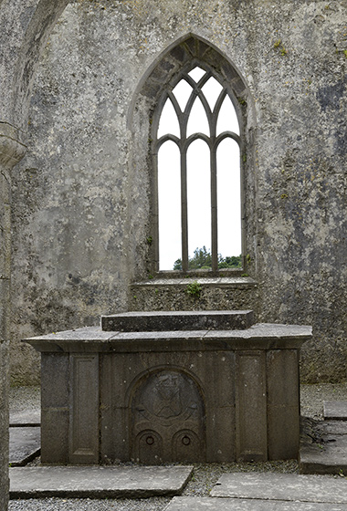 Ross Errilly Friary - men formt