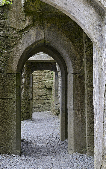 Ross Errilly Friary - men formt