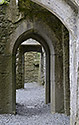 Ross Errilly Friary - hlavn odkaz