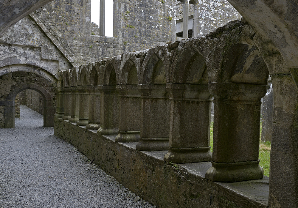 Ross Errilly Friary - vt formt