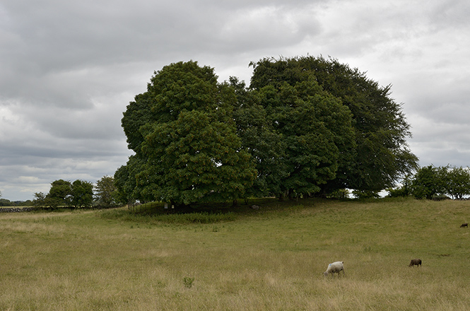 Glebe Stone Circle - men formt