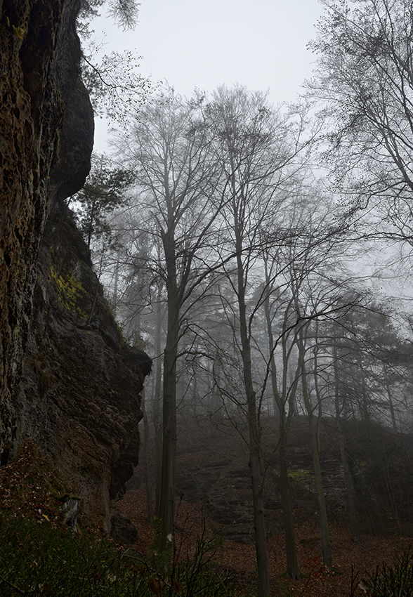 View from the sleeping bag - larger format