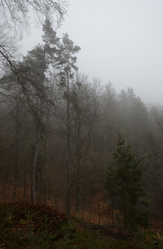 View from the sleeping bag - larger format