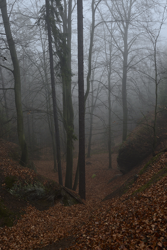 In fog - larger format