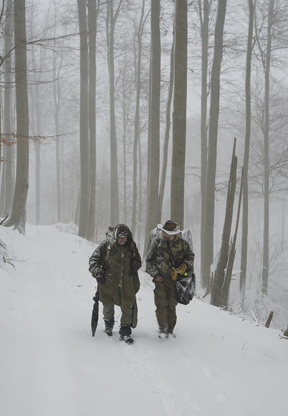 In snowstorm - larger format