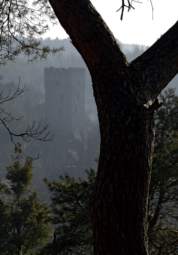 Castle from above - larger format