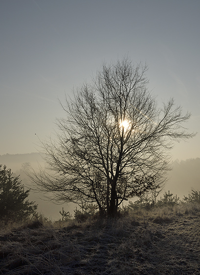 Morning over the valley - smaller format