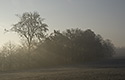 Morning over the valley - main link