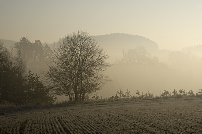 Morning over the valley - smaller format