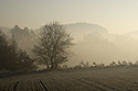 Morning over the valley - main link