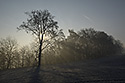 Morning over the valley - main link