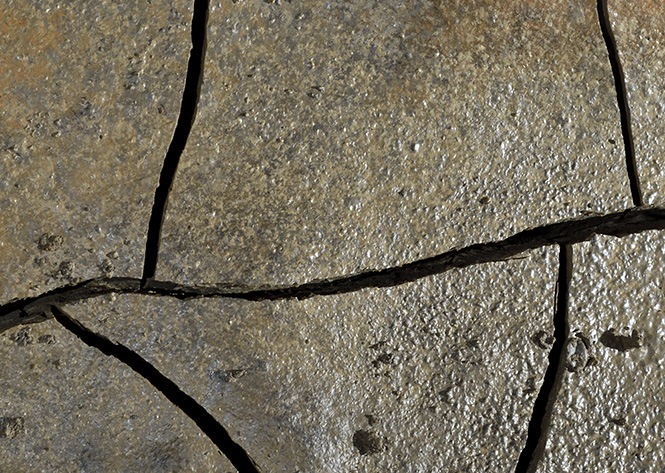 The face of the mud - smaller format