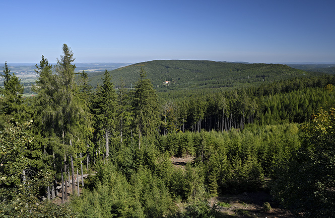 View to north-east - smaller format