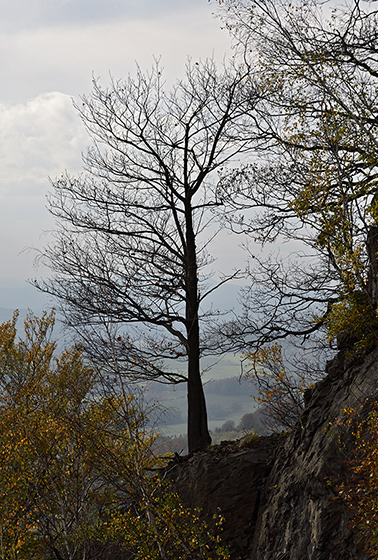 On the "Silver Hill" - smaller format